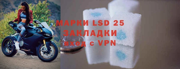 ECSTASY Алзамай