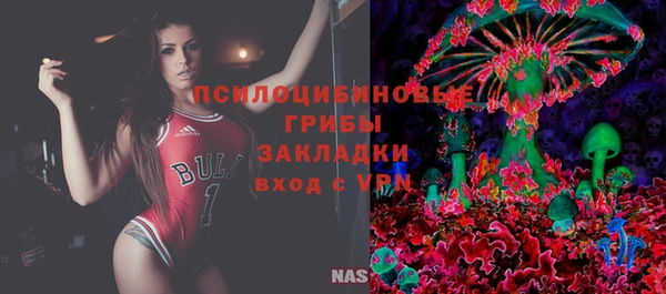 спиды Алексин