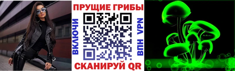 Галлюциногенные грибы Magic Shrooms  Богородск 