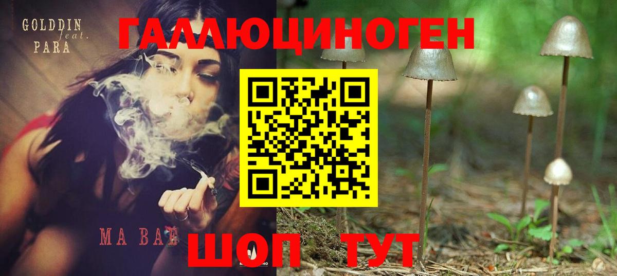 Галлюциногенные грибы Psilocybine cubensis Богородск